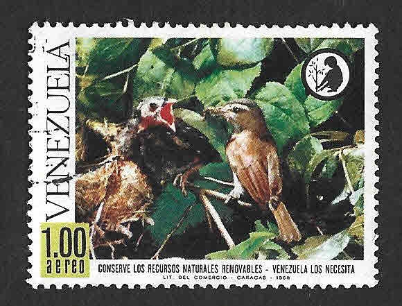 C1005 - Vireo Ojirrojo