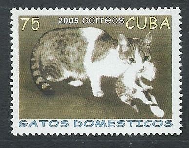 Gato