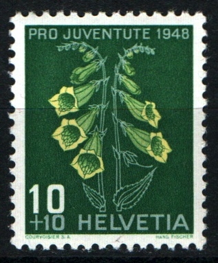 Pro juventud