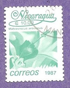 INTERCAMBIO
