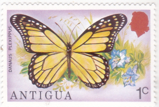 Mariposa