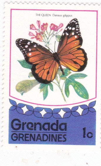 Mariposa