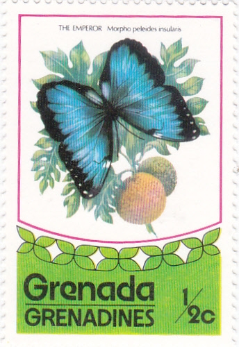 Mariposa