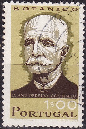 D.Antonio Pereira Coutinho