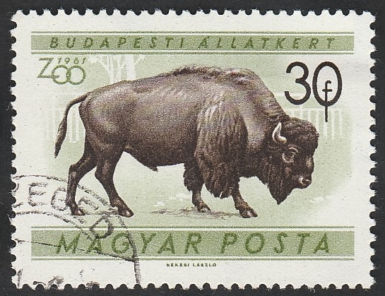 1414 - Zoo de Budapest, bisonte