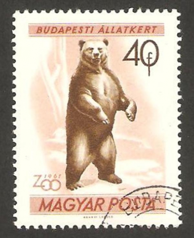 1415 - Zoo de Budapest, oso pardo