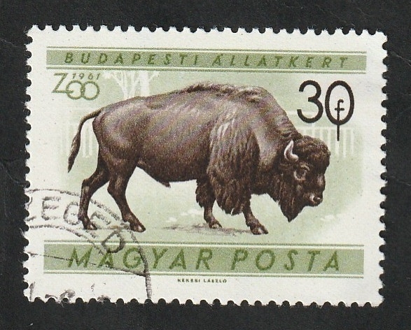 1414 - Zoológico de Budapest, Bisonte