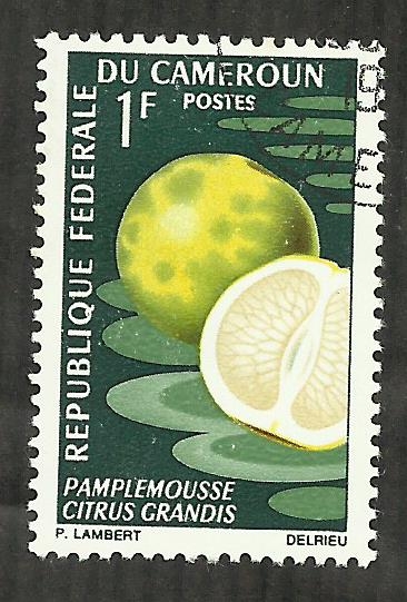Pamplemousse citrus grandis