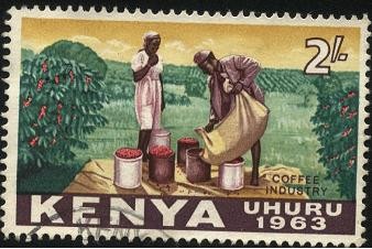 Industria del café de KENIA. Año de la independencia 1963. Uhuro 'libertad'.