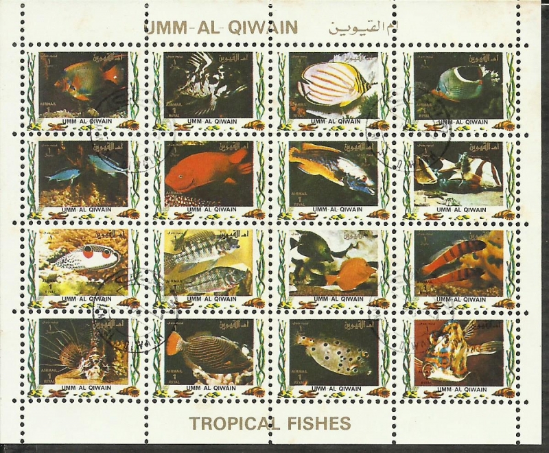 UMM-AL-QIWAIN - Tropical Fishes