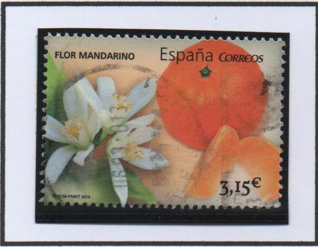Gastronomía Española: Flor d' Mandarino