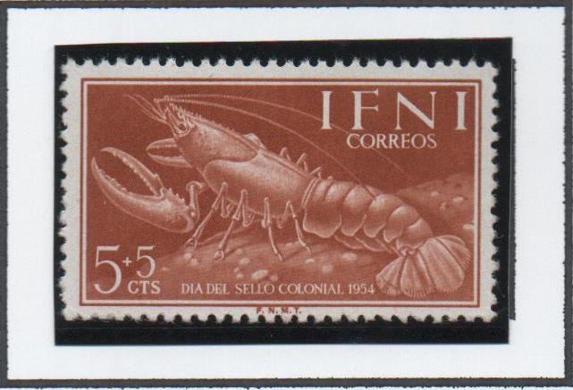 Homarus Vulgaris