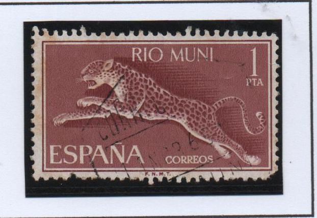 Pantera Pardus