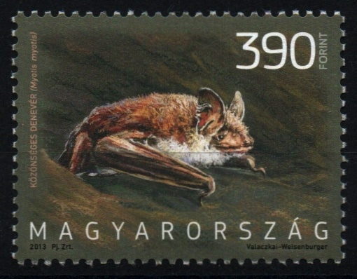serie- Fauna húngara