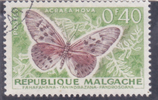 Mariposa