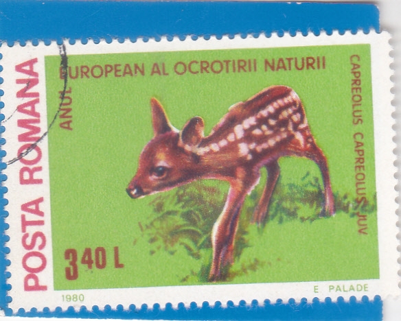 Año europeo protección de la naturaleza
