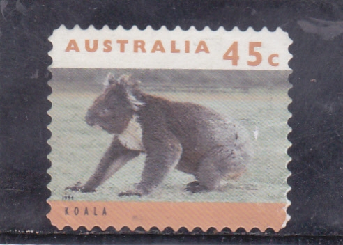 Koala