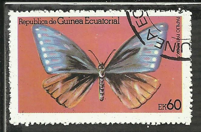 Papilio Paradoxa
