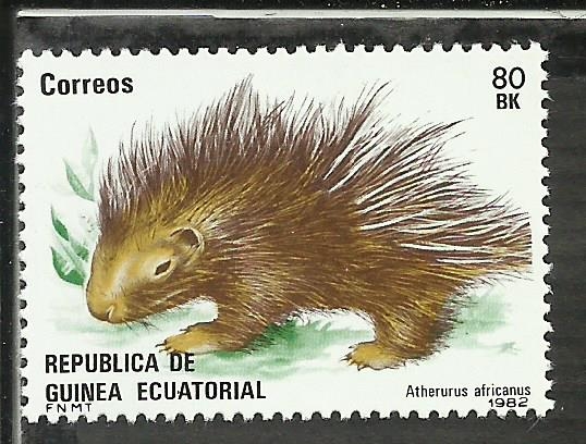 Atherurus Africanus