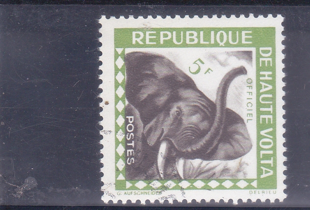 elefante