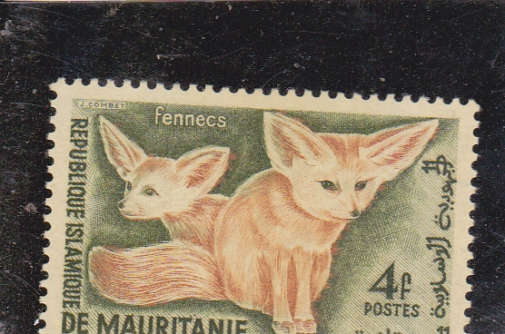 FENNECS