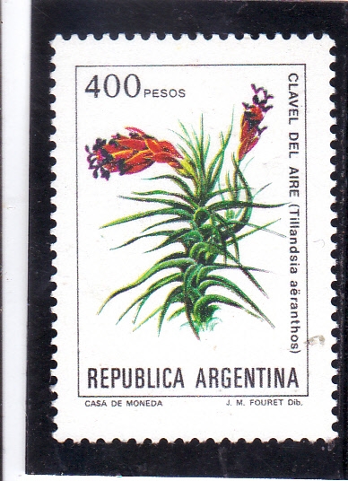 FLORES-clavel del aire