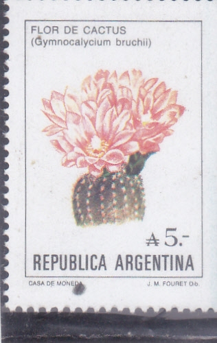 FLORES- flor de captus