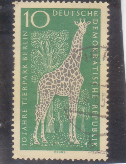 jirafa