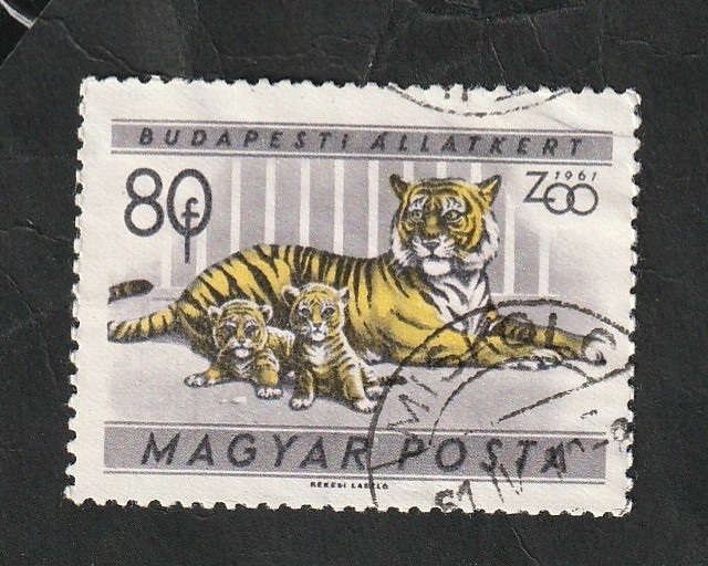 1417 - Tigres