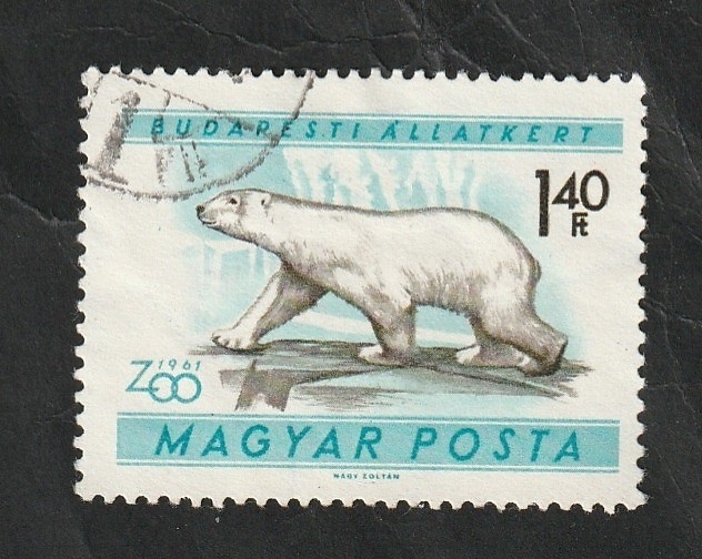 1419 - Oso polar