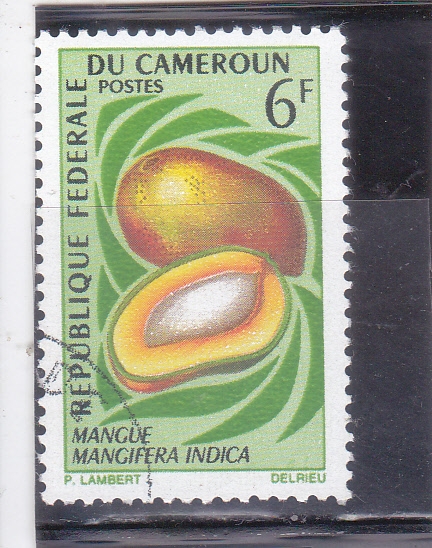 FRUTA- mango