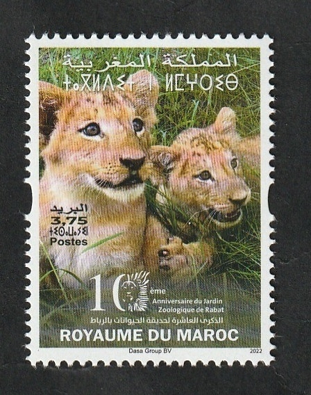 1927 - 10 Anivº del Zoo de Rabat, tigres
