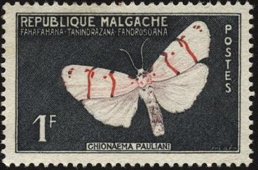 Republica de Malgache. Mariposa Chionaema pauliani. 1960 1 franco