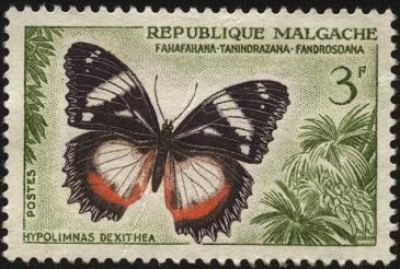 Repúblca de Malgache. Mariposa Hypolimnas dexithea.
