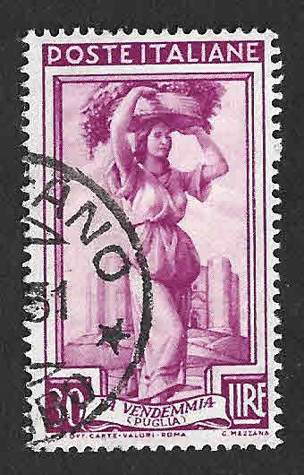 559 - Recolectora de Uvas