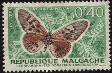 República de Malgache. Mariposa Acraea Ova.