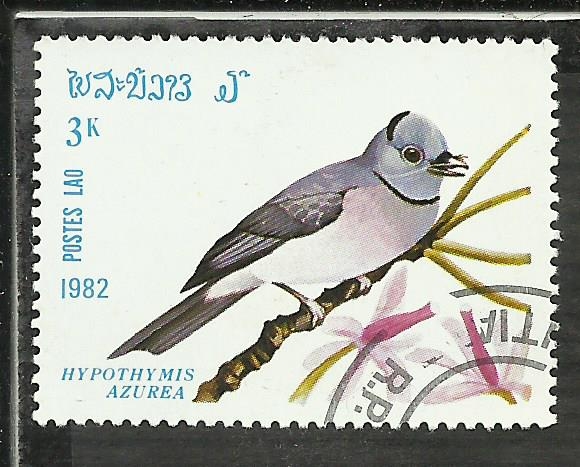 Hypothymis Azurea