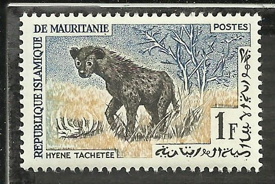 Hyene Tachette