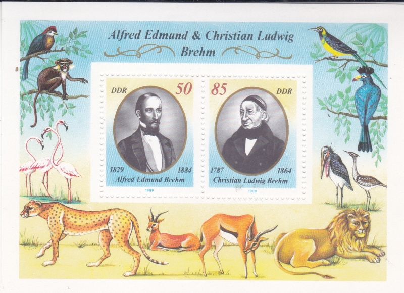 Alfred Edmund & Christian Ludwig Brem 