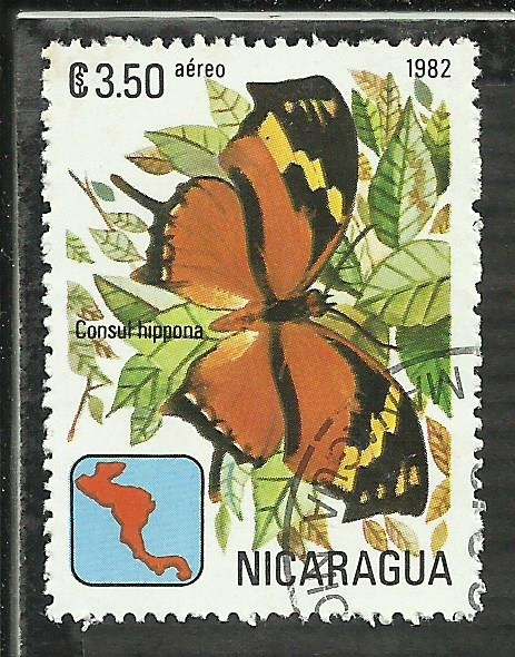 Consul Hippona