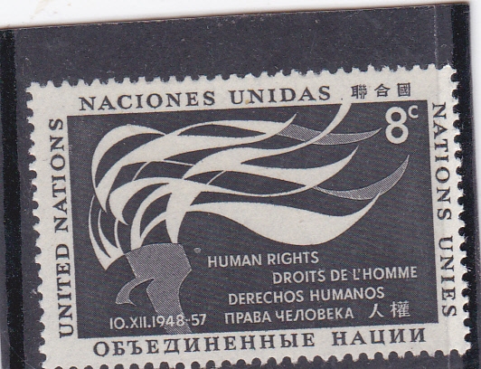 Derechos Humanos