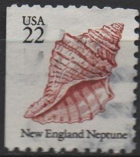 New England Neptune