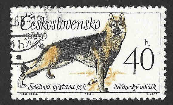 1313 - Exposición Canina Mundial en Brno y Congreso Internacional de Criadores de Perros
