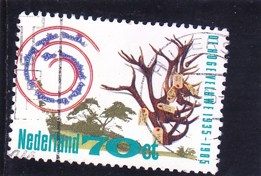 50 Aniversario Parque nacional De Hoge Veluwe