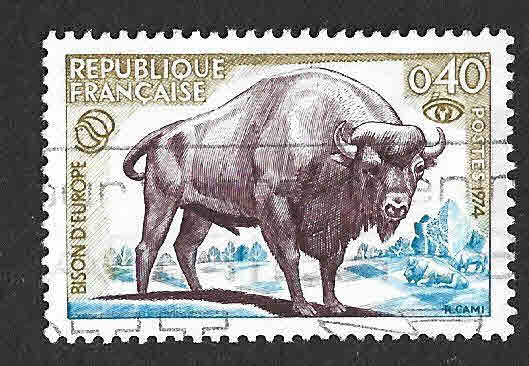 1407 - Bisonte Europeo