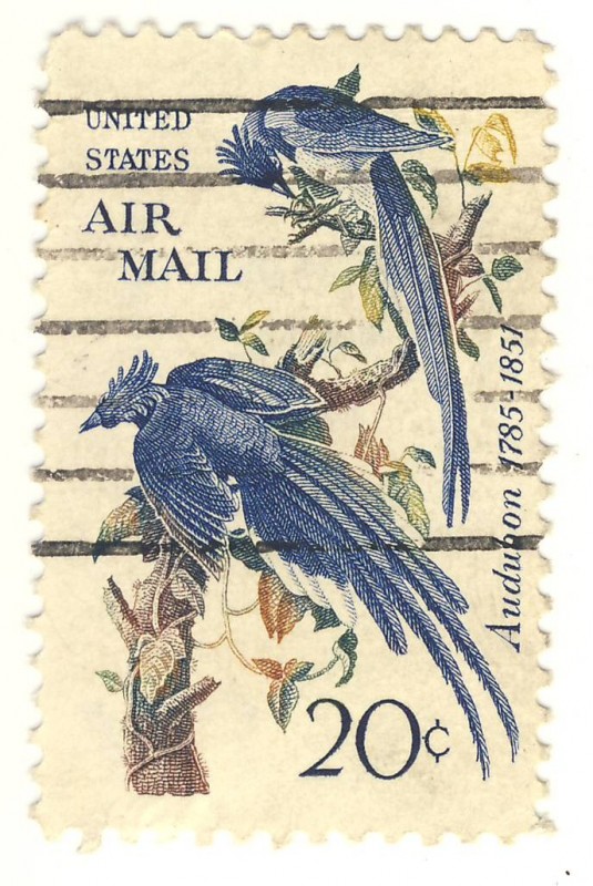 John James Audubon  1785-1851 (naturalista)