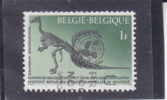 Iguanodon bernissartensis, Instituto de Ciencias Naturales de Bruselas