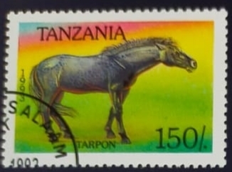 Caballo Tarpon
