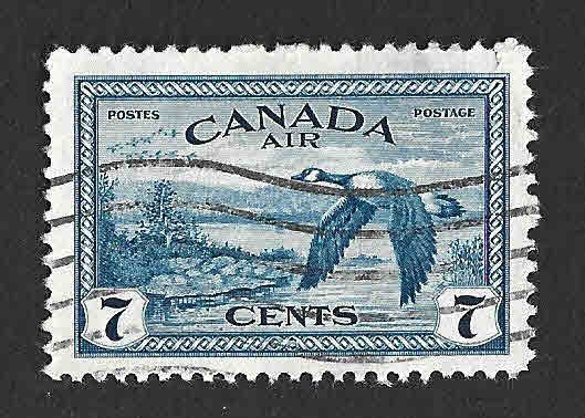 C9 - Ganso Canadiense