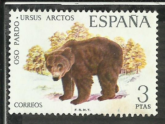 Oso Pardo